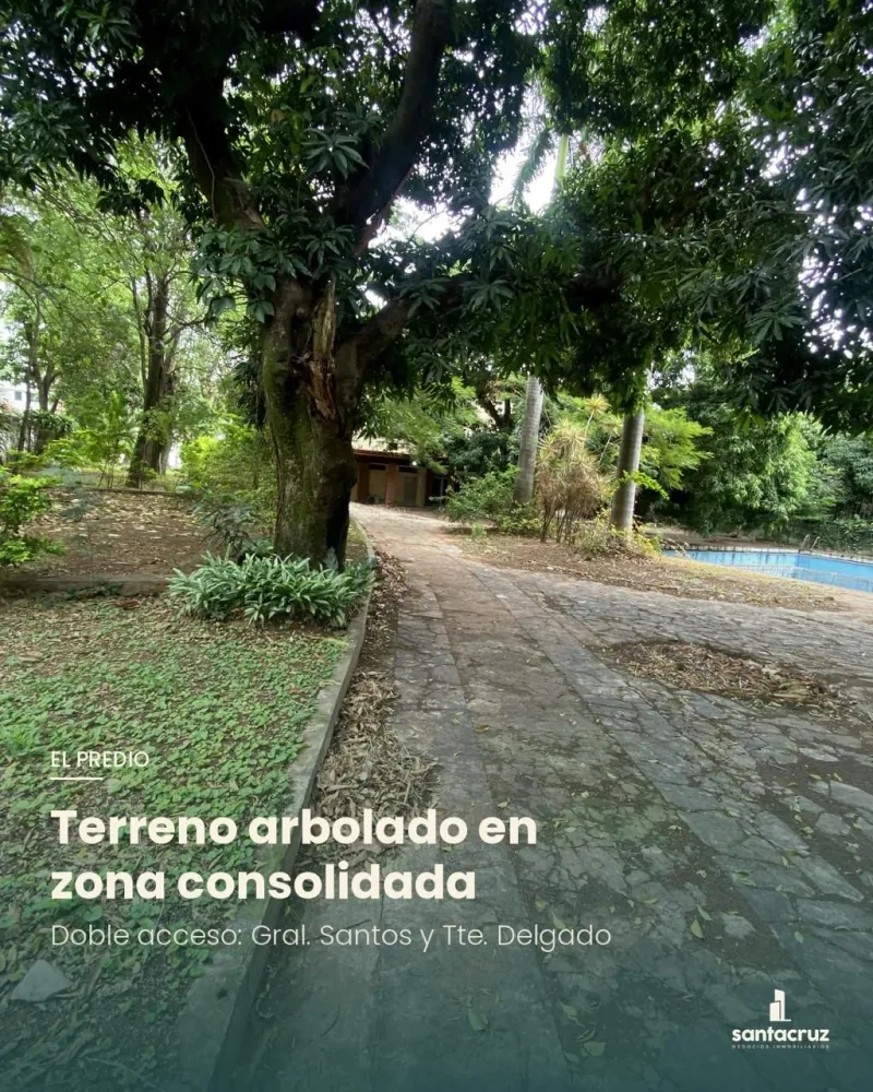 Terreno arbolado con camino interior y piscina
